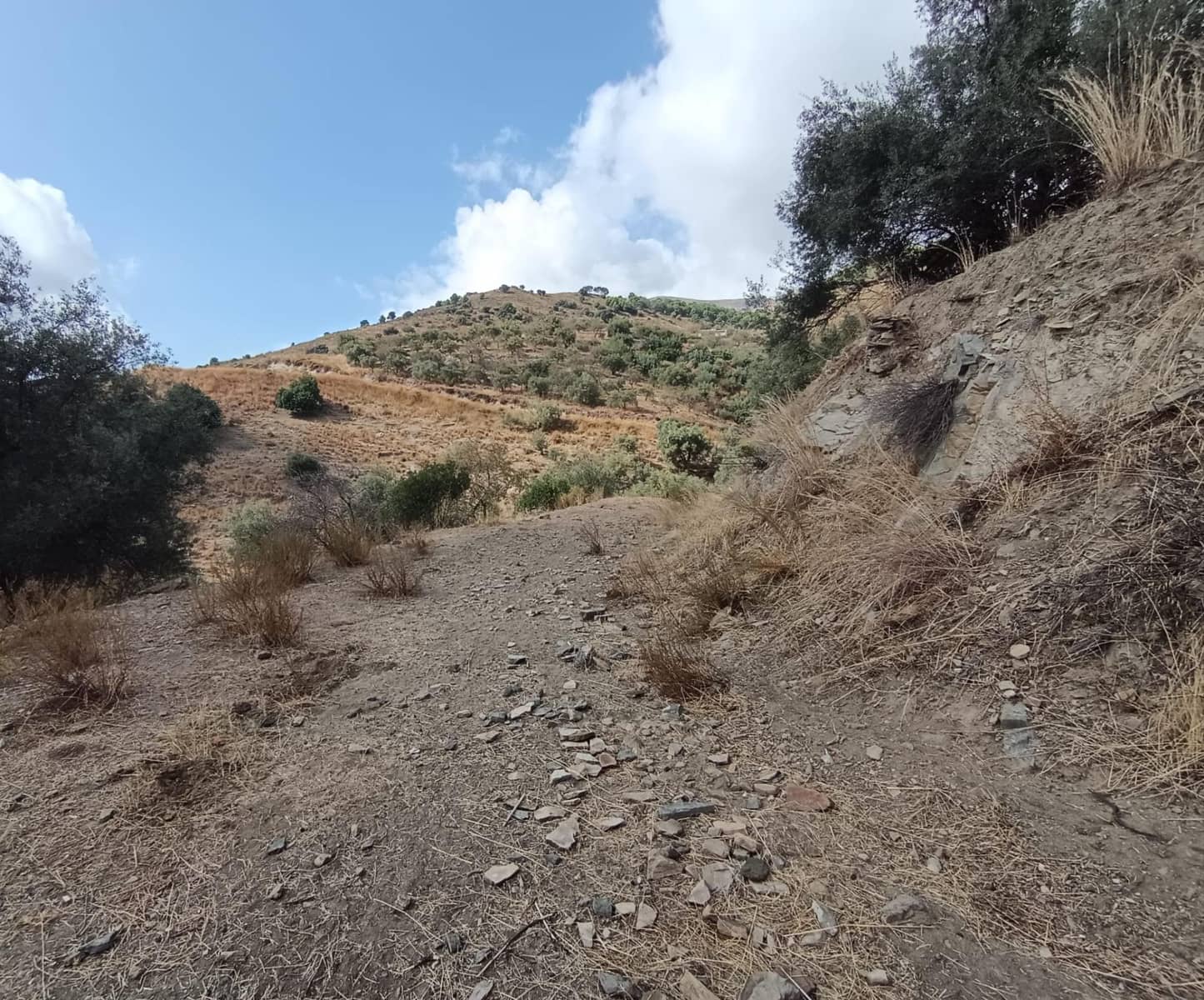 Landgrundstück zu verkaufen in Sedella - 156.000 € (Ref: 9359669)