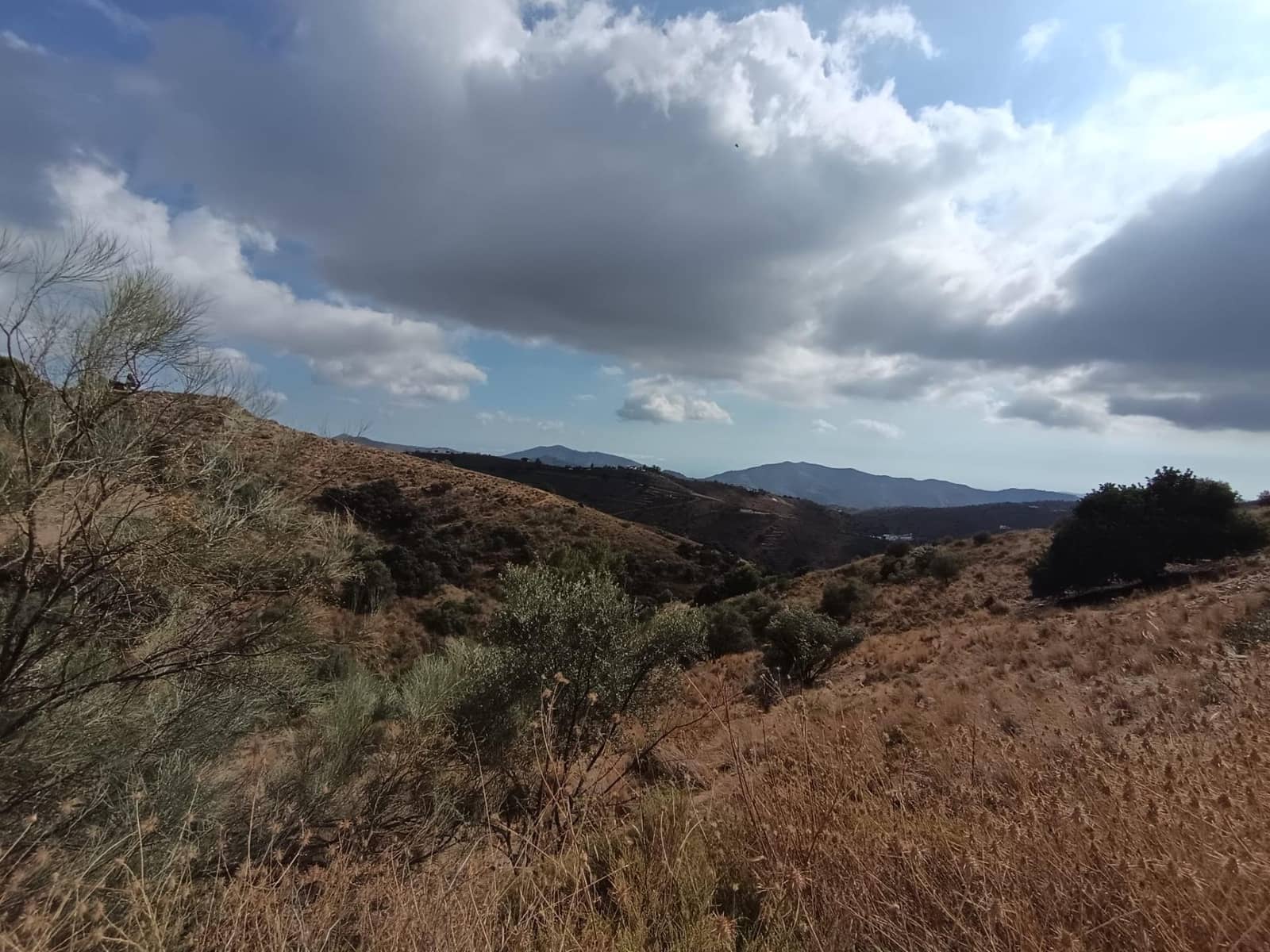 Landgrundstück zu verkaufen in Sedella - 156.000 € (Ref: 9359669)