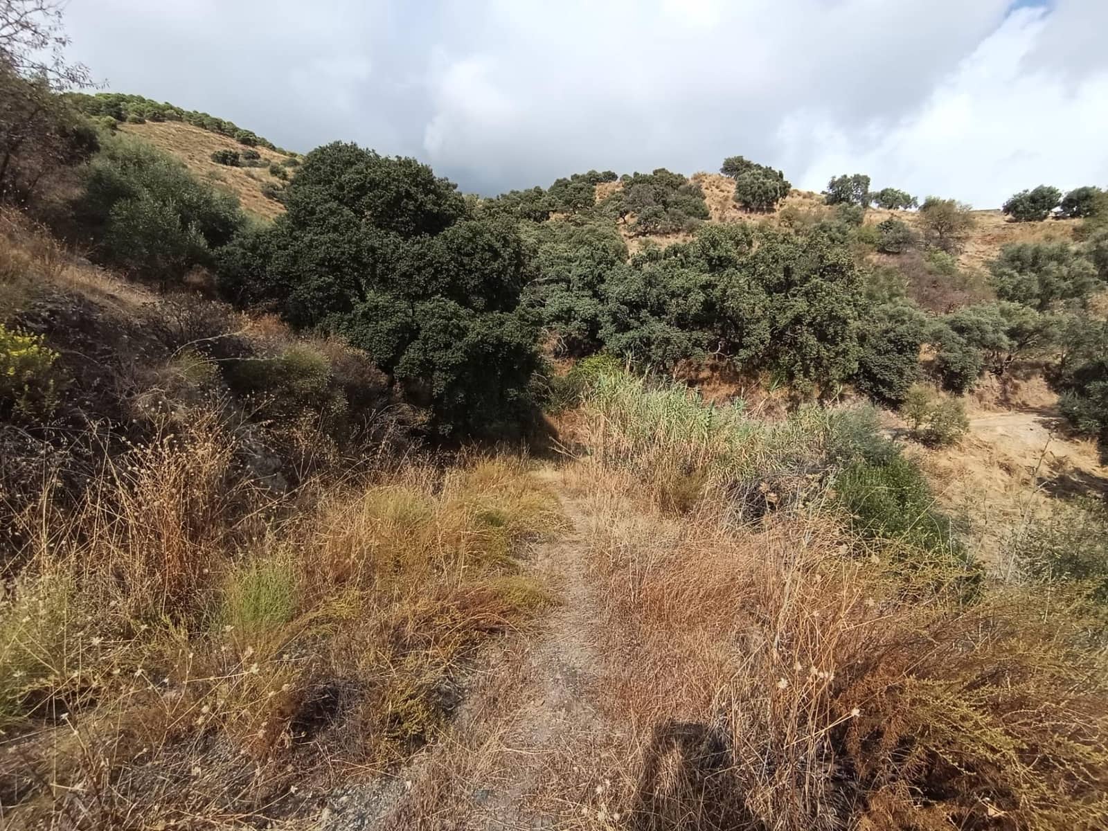 Landgrundstück zu verkaufen in Sedella - 156.000 € (Ref: 9359669)