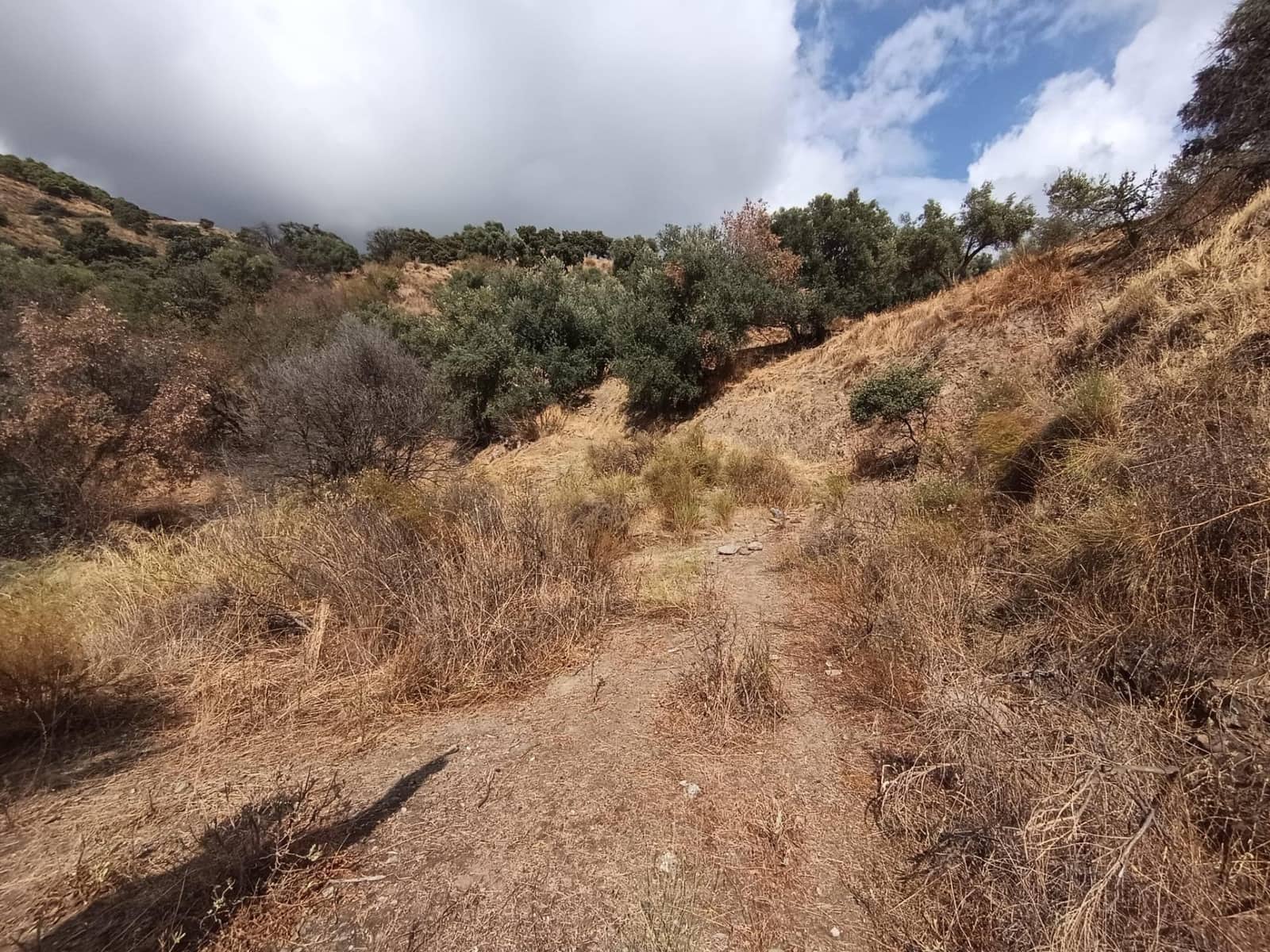 Landgrundstück zu verkaufen in Sedella - 156.000 € (Ref: 9359669)