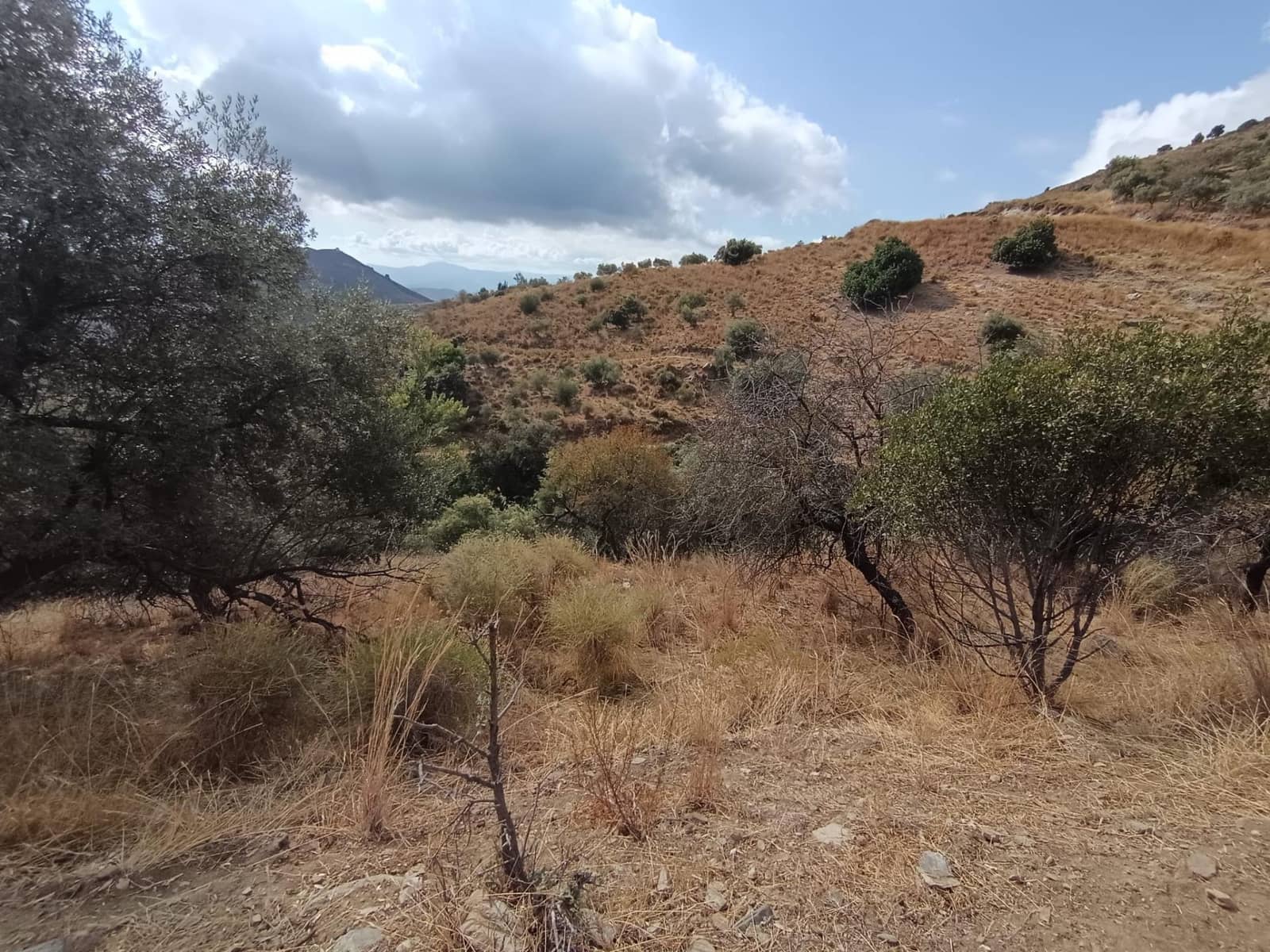 Landgrundstück zu verkaufen in Sedella - 156.000 € (Ref: 9359669)