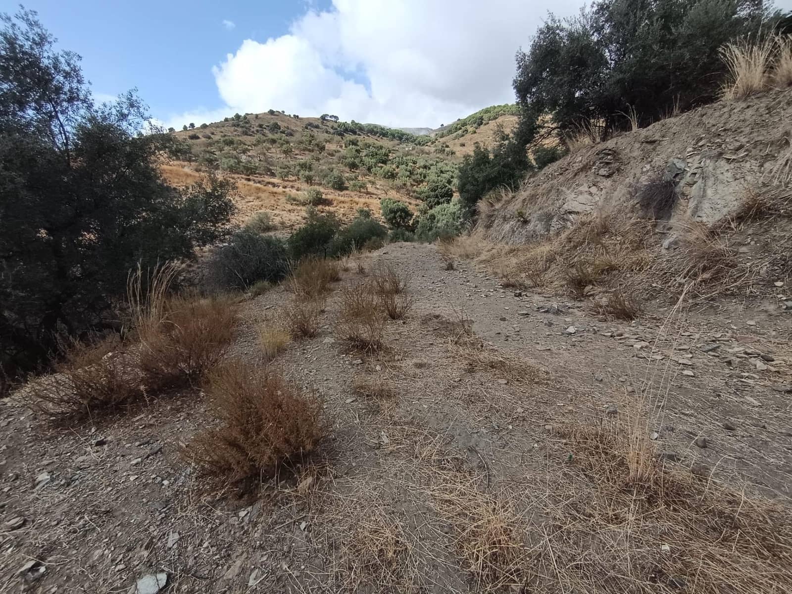 Landgrundstück zu verkaufen in Sedella - 156.000 € (Ref: 9359669)