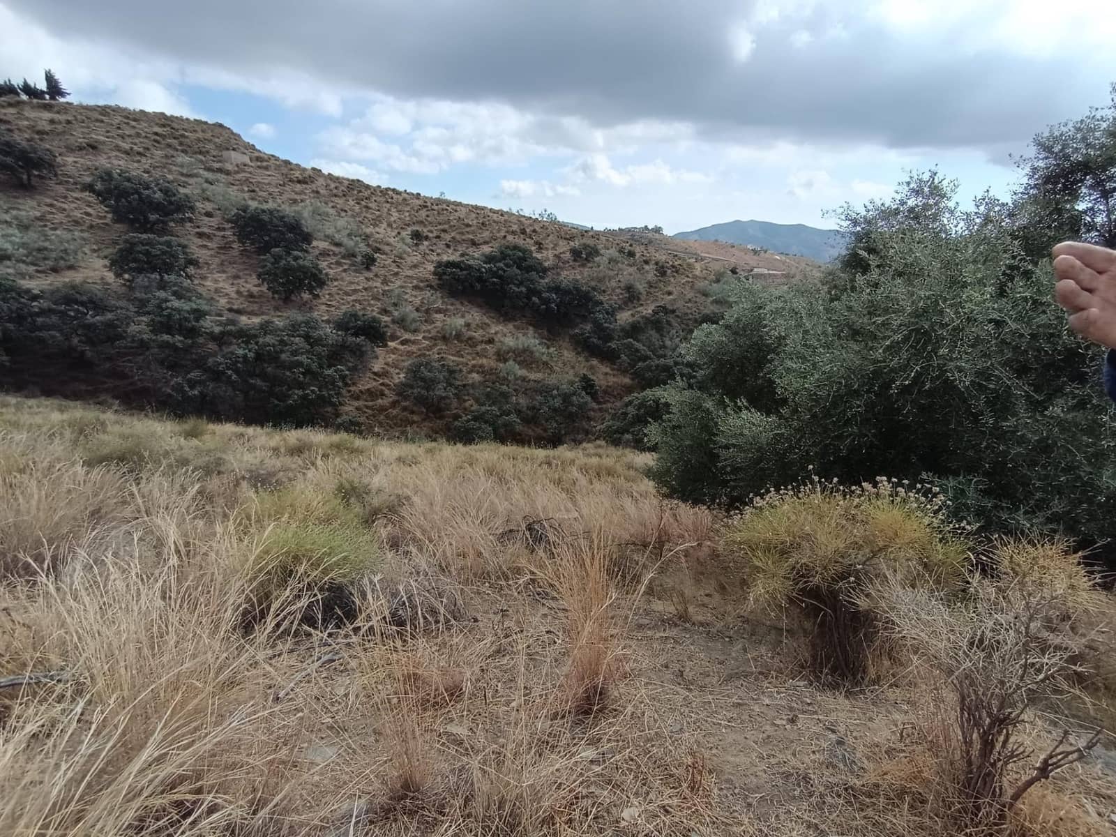 Landgrundstück zu verkaufen in Sedella - 156.000 € (Ref: 9359669)