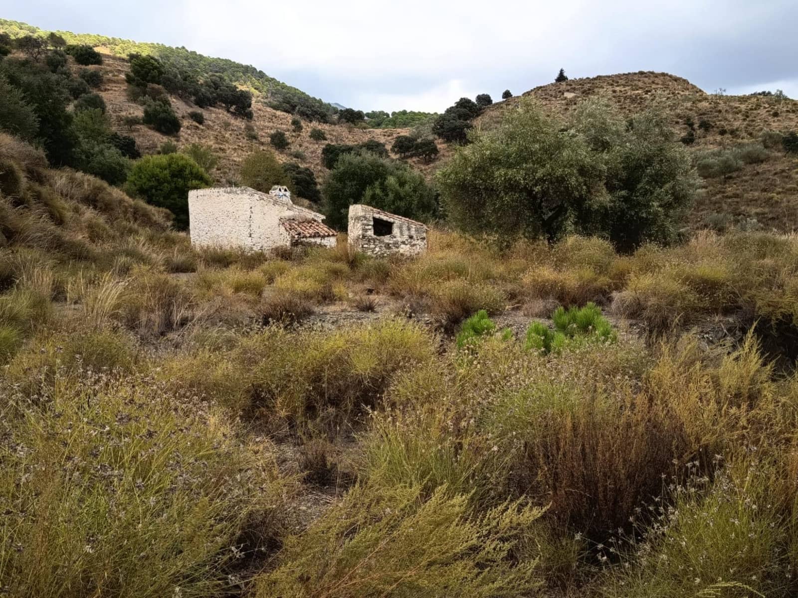 Grunde uden byggetilladelser til salg i Sedella - € 156.000 (Ref: 9359669)