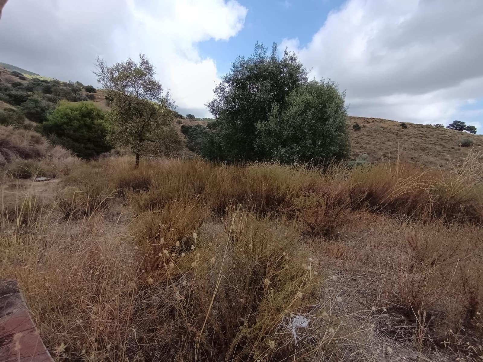 Grunde uden byggetilladelser til salg i Sedella - € 156.000 (Ref: 9359669)