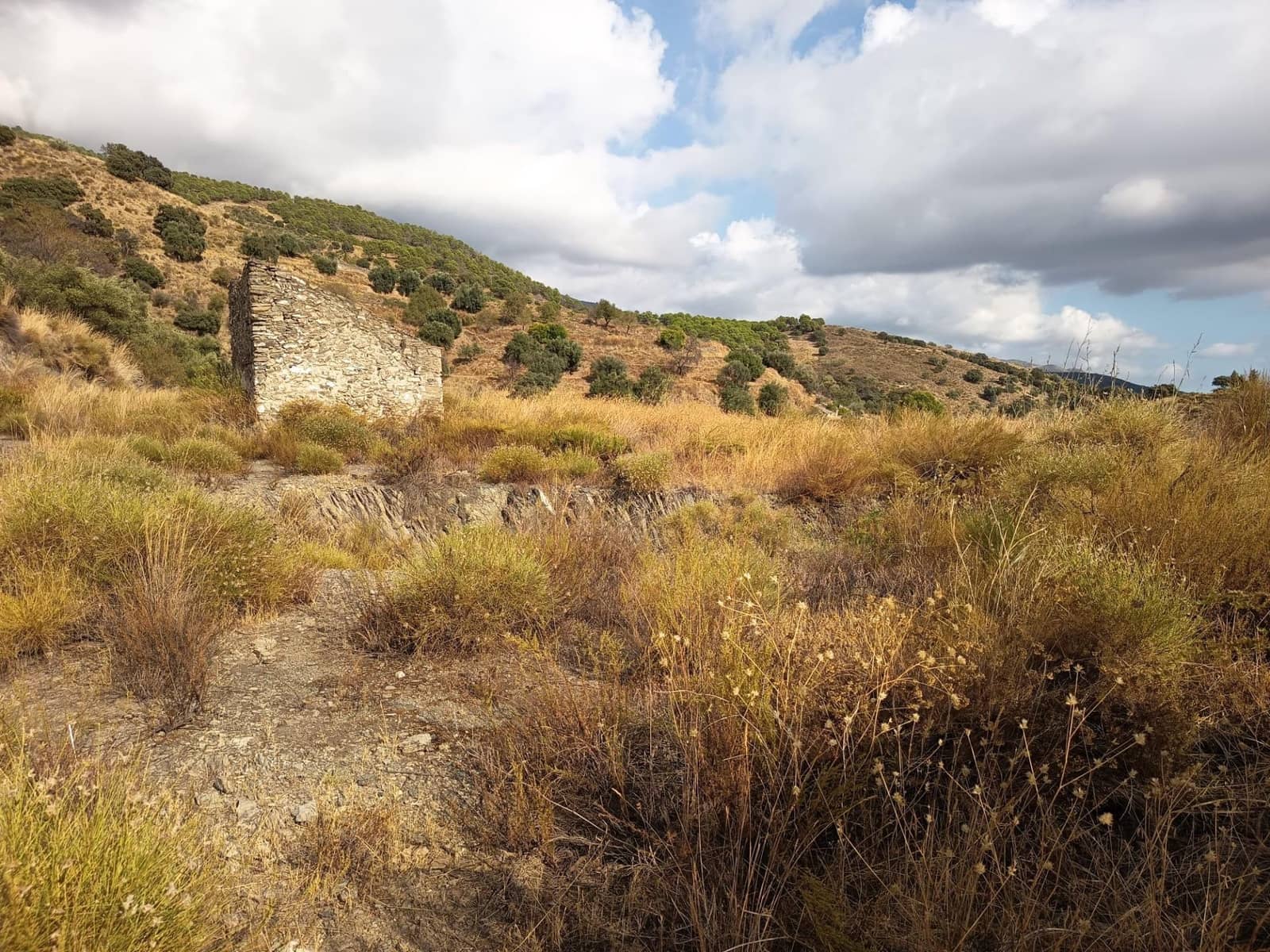Grunde uden byggetilladelser til salg i Sedella - € 156.000 (Ref: 9359669)
