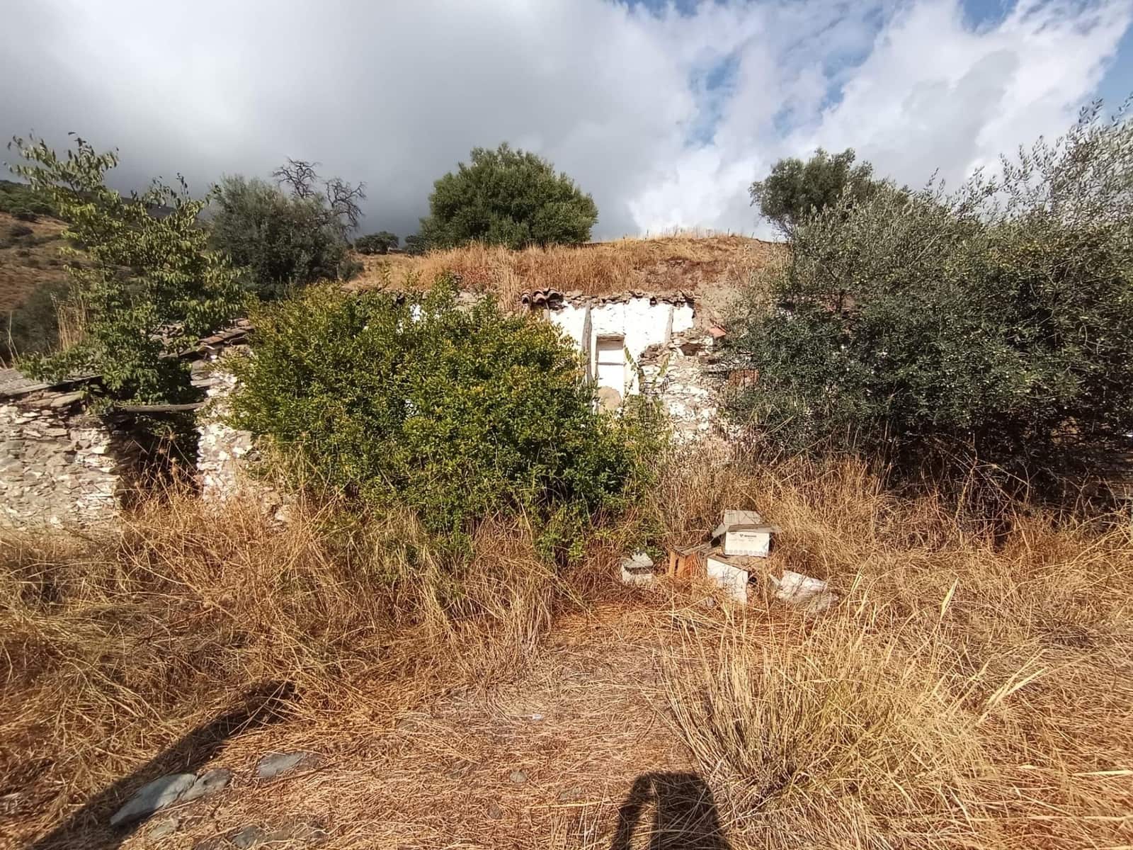 Grunde uden byggetilladelser til salg i Sedella - € 156.000 (Ref: 9359669)