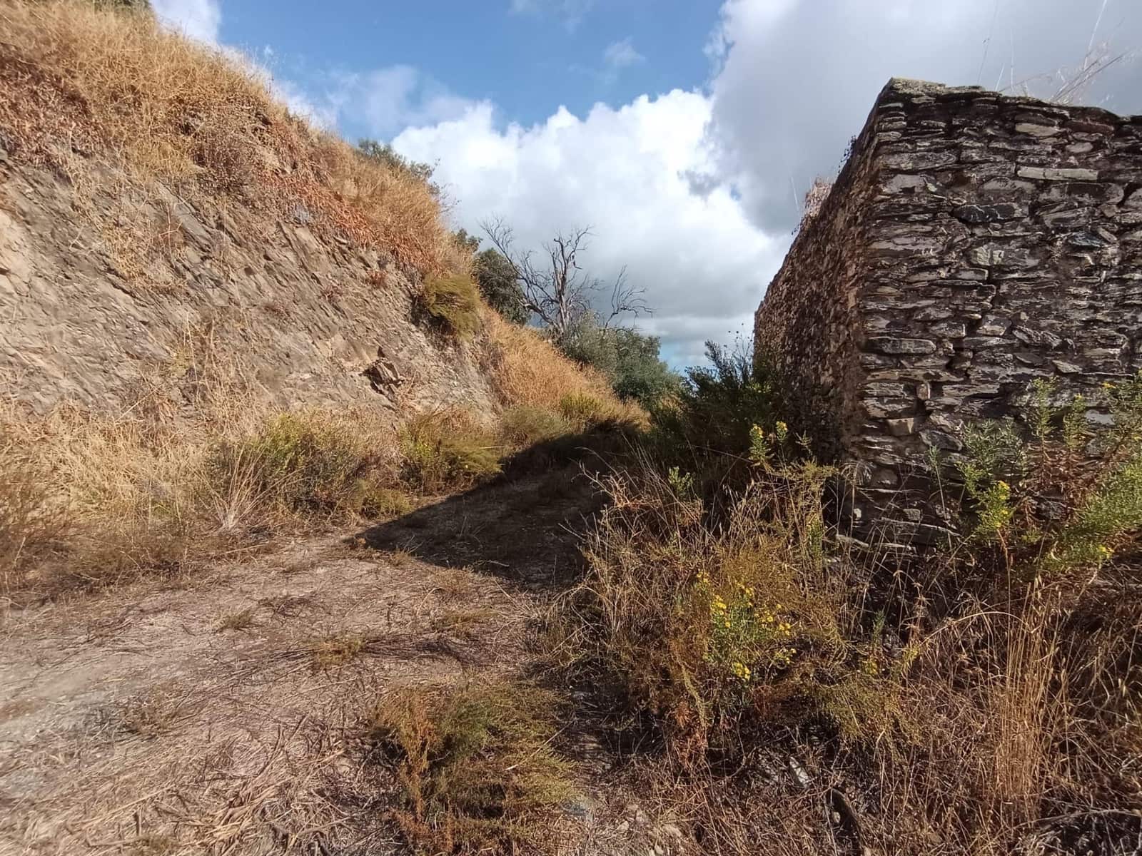 Grunde uden byggetilladelser til salg i Sedella - € 156.000 (Ref: 9359669)