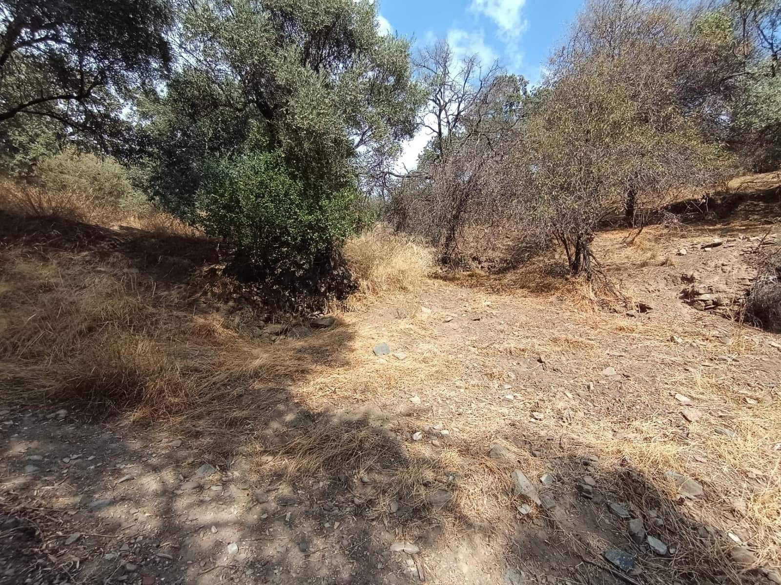 Grunde uden byggetilladelser til salg i Sedella - € 156.000 (Ref: 9359669)