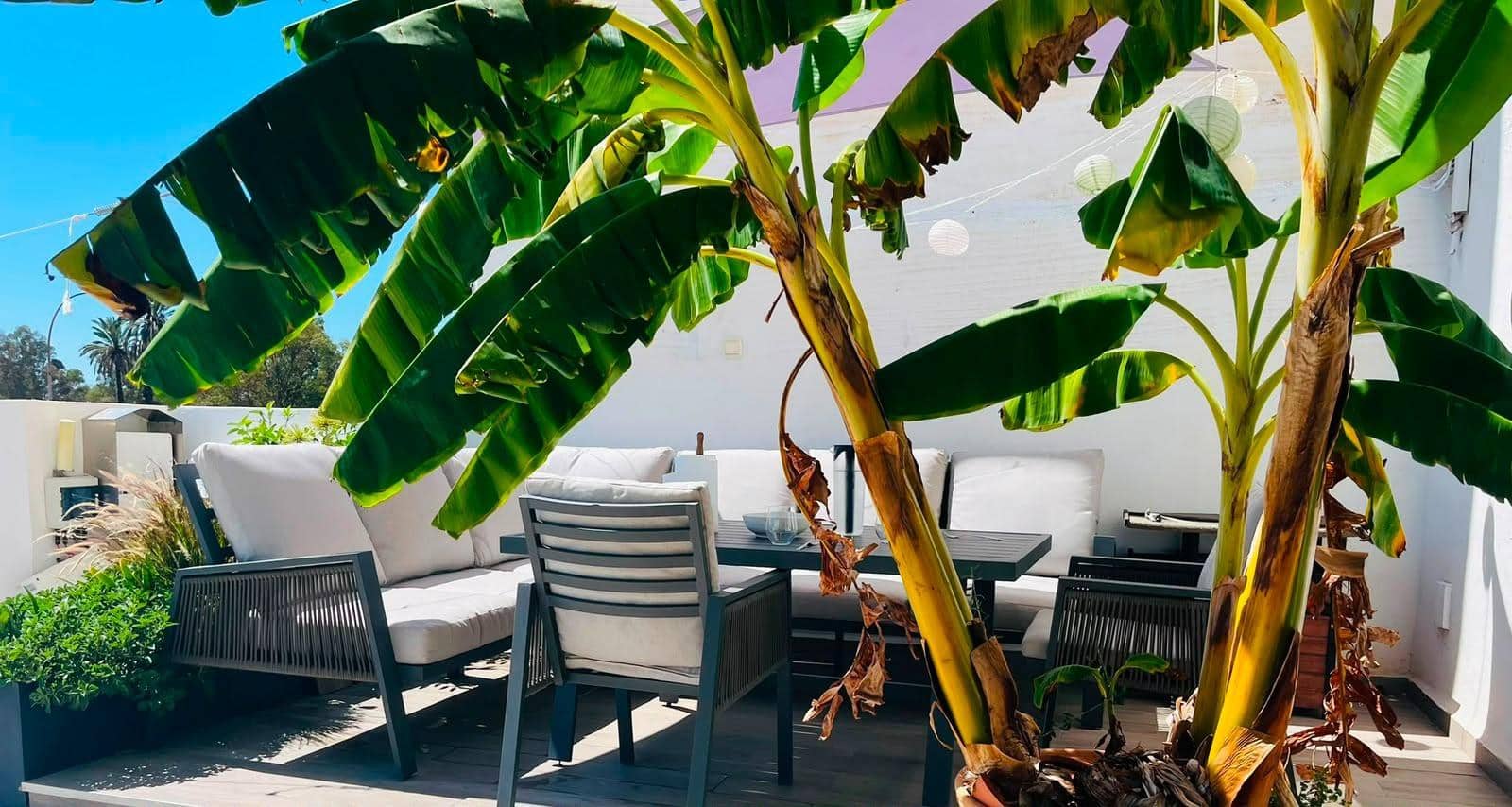 3 sovrum Lägenhet till salu i Malaga stad - 399 000 € (Ref: 9541206)