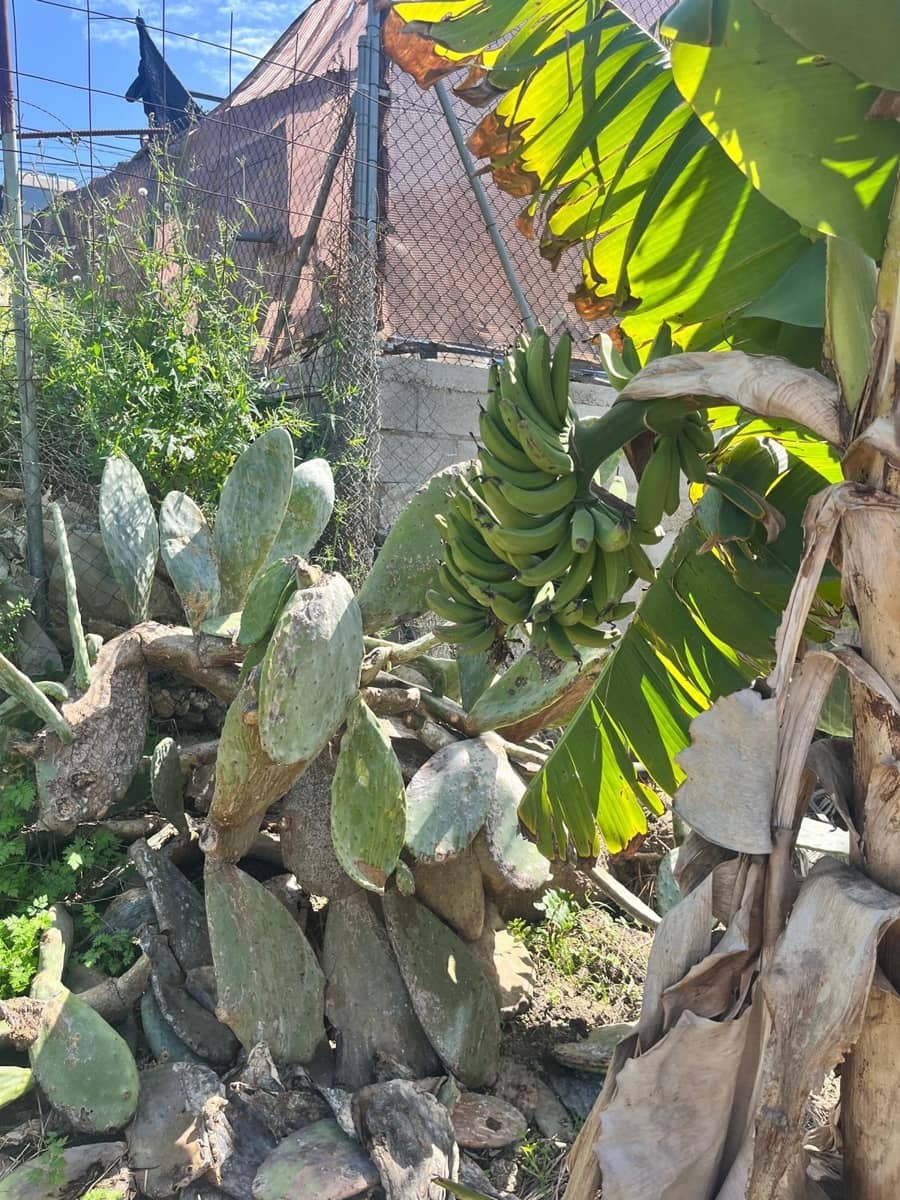 Building Plot for sale in Alhaurin de la Torre - € 550,000 (Ref: 9712048)