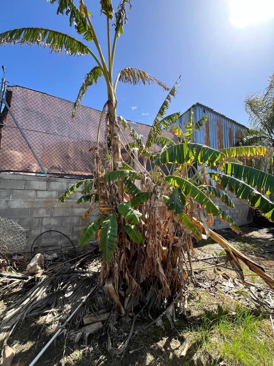 Building Plot for sale in Alhaurin de la Torre - € 550,000 (Ref: 9712048)