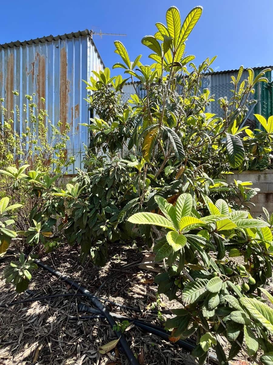 Building Plot for sale in Alhaurin de la Torre - € 550,000 (Ref: 9712048)