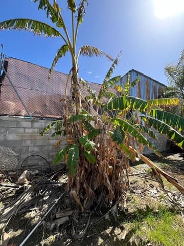 Tomt till salu i Alhaurín de la Torre - 550 000 € (Ref: 9712048)