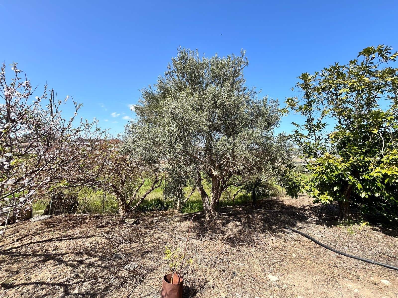 Building Plot for sale in Alhaurin de la Torre - € 550,000 (Ref: 9712048)