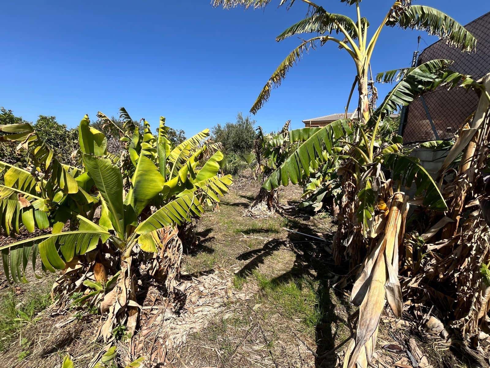 Building Plot for sale in Alhaurin de la Torre - € 550,000 (Ref: 9712048)