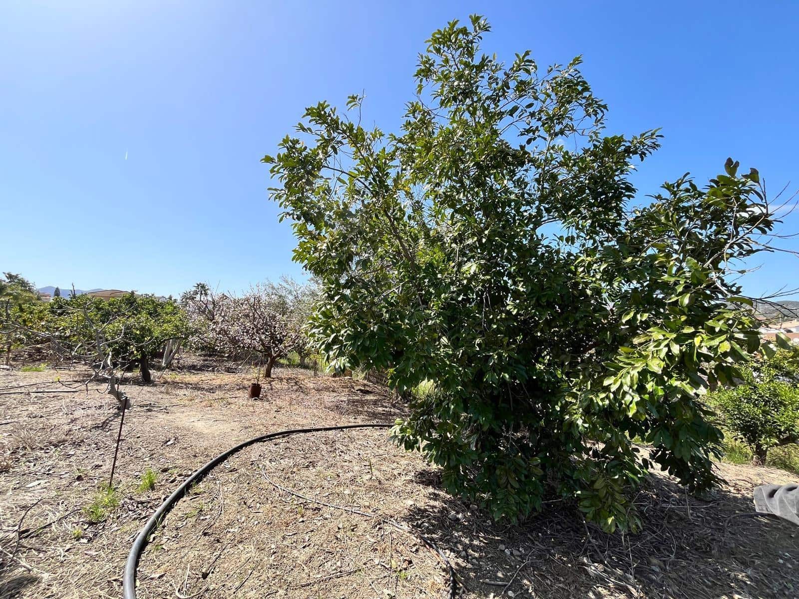 Building Plot for sale in Alhaurin de la Torre - € 550,000 (Ref: 9712048)