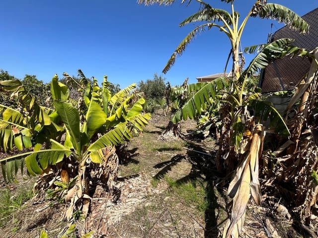 Tomt till salu i Alhaurín de la Torre - 550 000 € (Ref: 9712048)