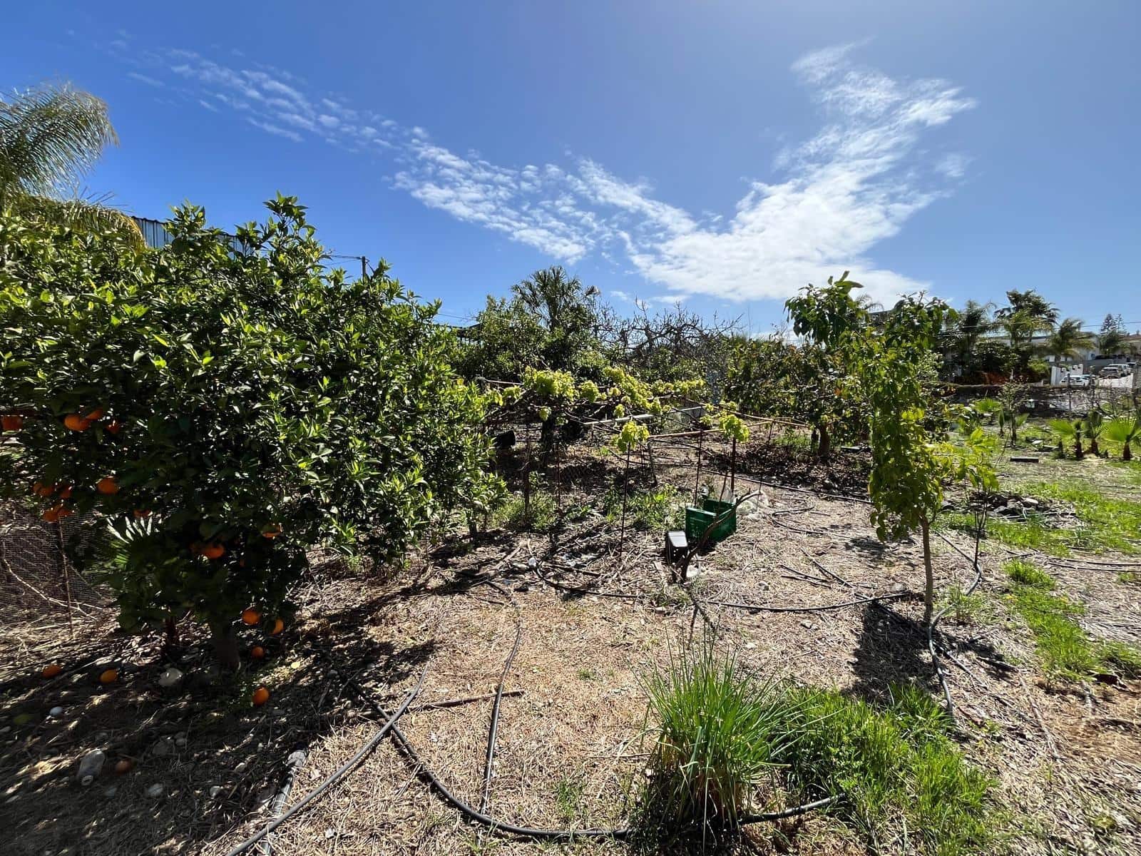 Building Plot for sale in Alhaurin de la Torre - € 550,000 (Ref: 9712048)