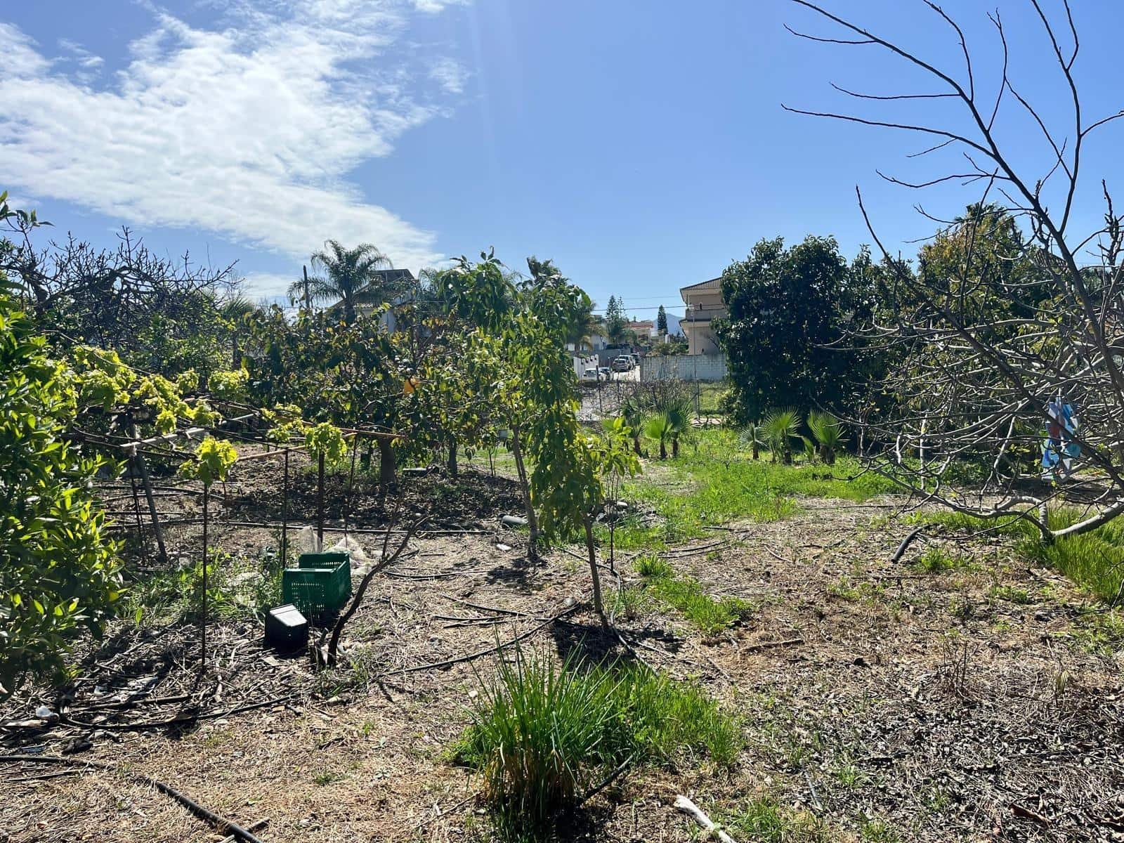 Building Plot for sale in Alhaurin de la Torre - € 550,000 (Ref: 9712048)