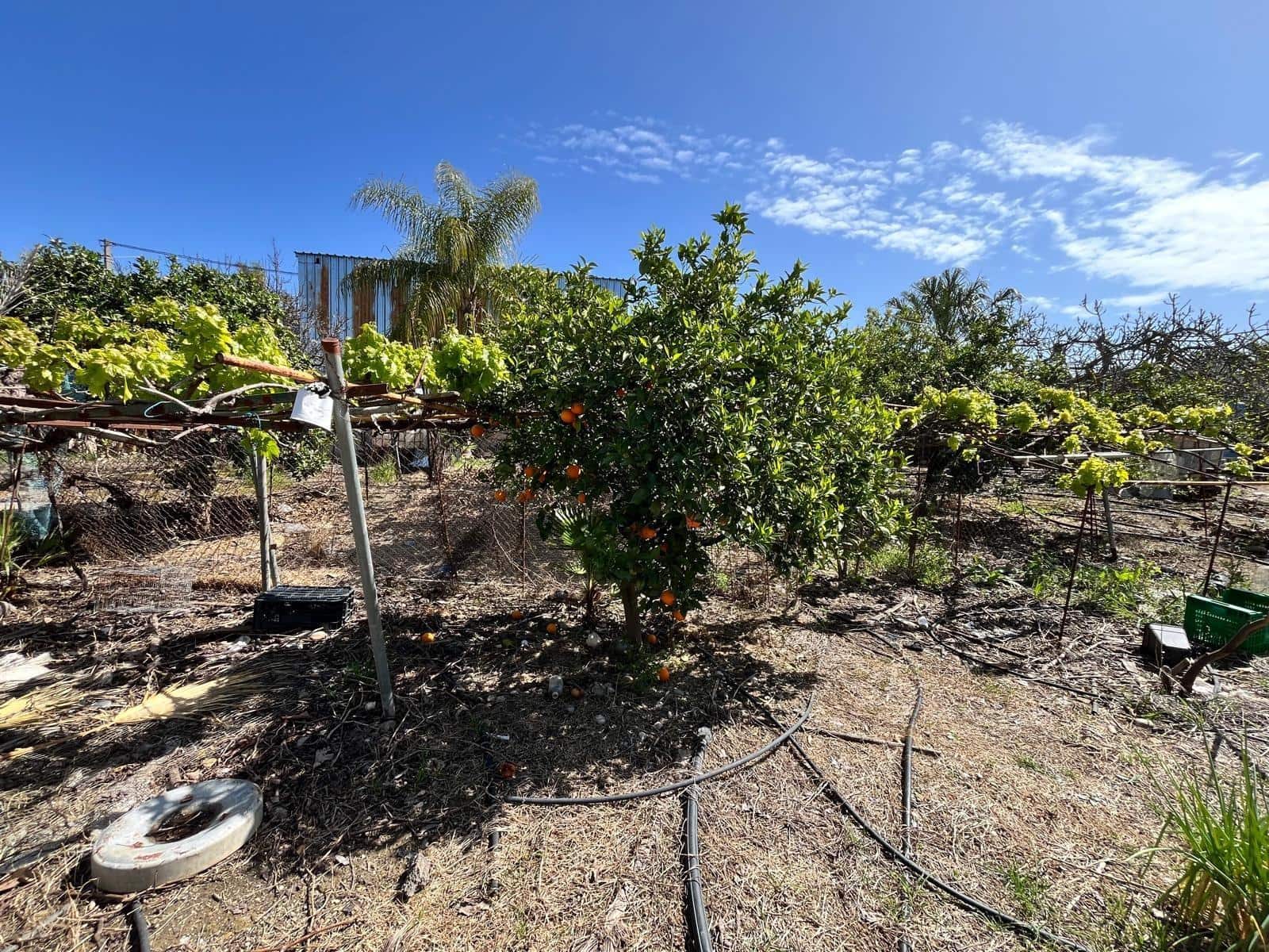 Building Plot for sale in Alhaurin de la Torre - € 550,000 (Ref: 9712048)