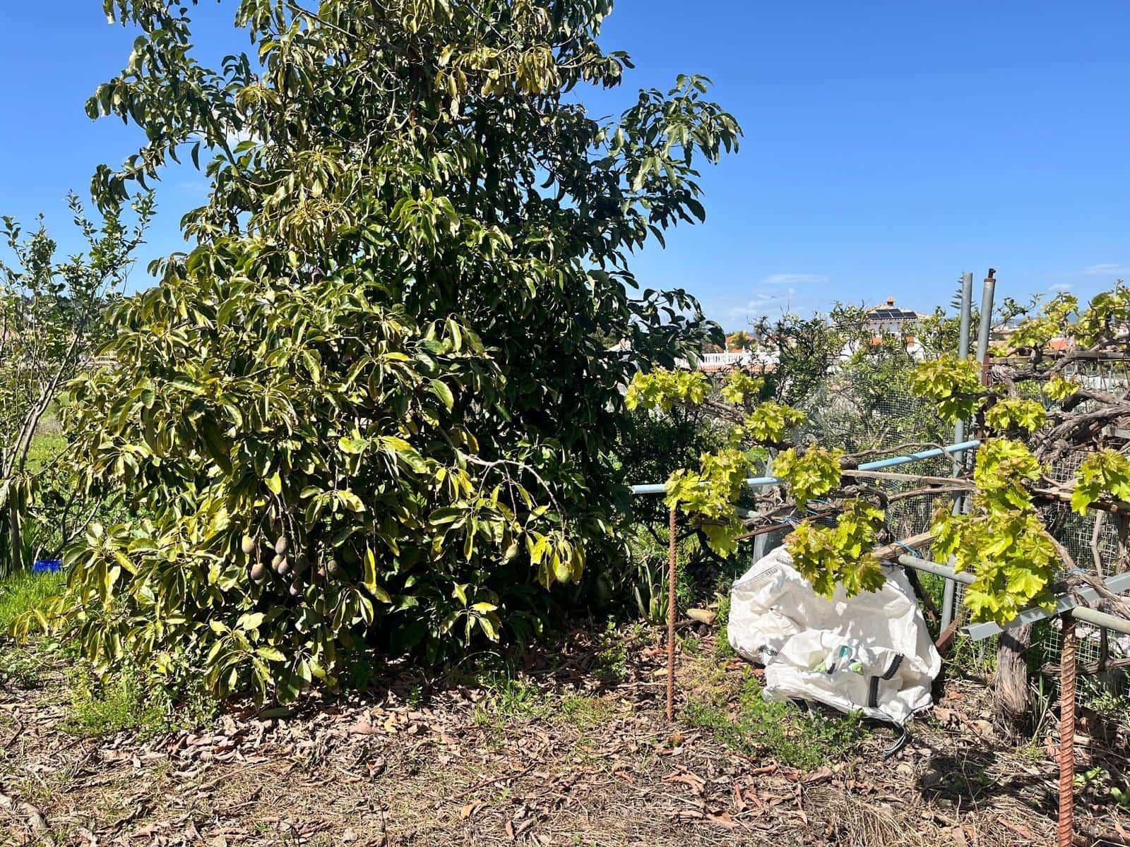 Building Plot for sale in Alhaurin de la Torre - € 550,000 (Ref: 9712048)