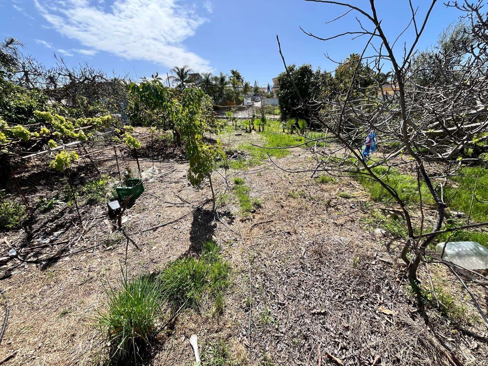 Building Plot for sale in Alhaurin de la Torre - € 550,000 (Ref: 9712048)