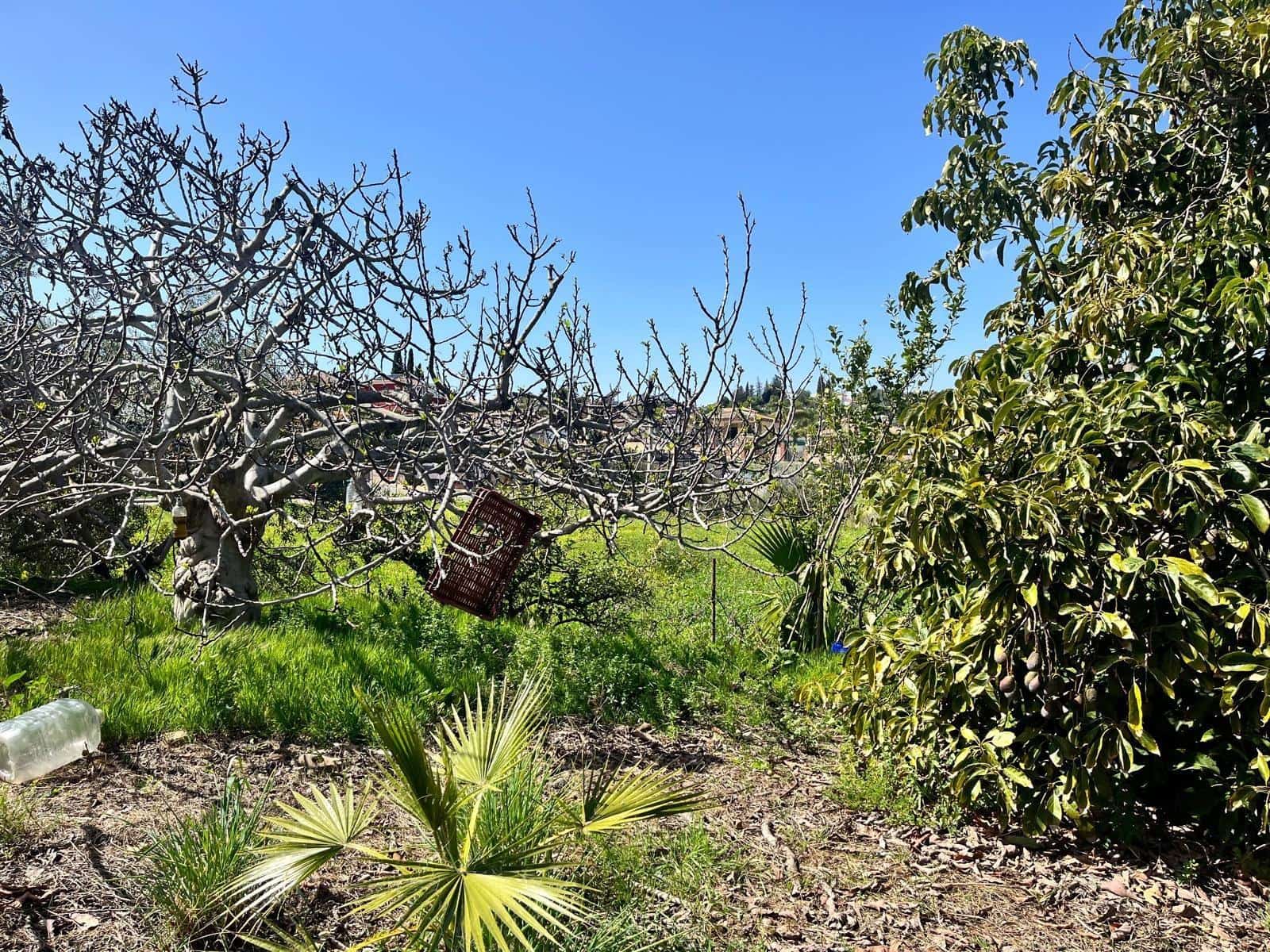 Building Plot for sale in Alhaurin de la Torre - € 550,000 (Ref: 9712048)