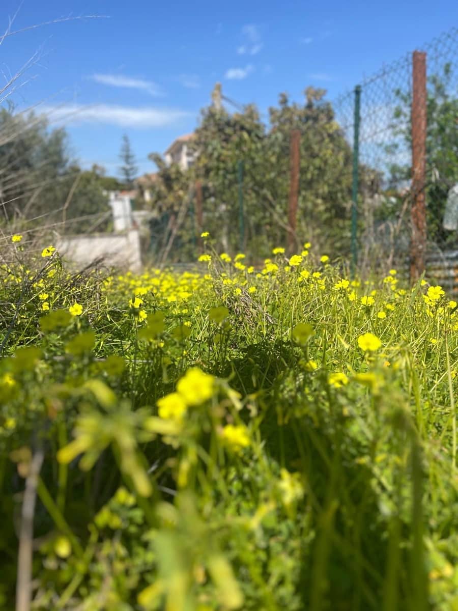 Building Plot for sale in Alhaurin de la Torre - € 475,000 (Ref: 9712049)