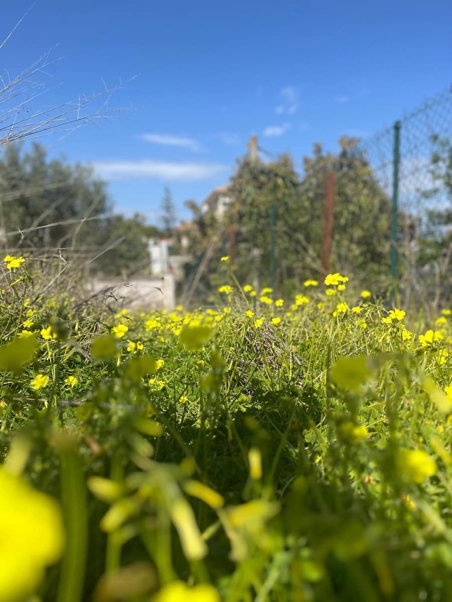 Building Plot for sale in Alhaurin de la Torre - € 475,000 (Ref: 9712049)