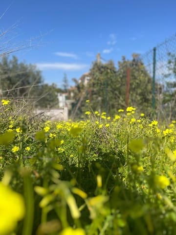 Tomt till salu i Alhaurín de la Torre - 475 000 € (Ref: 9712049)