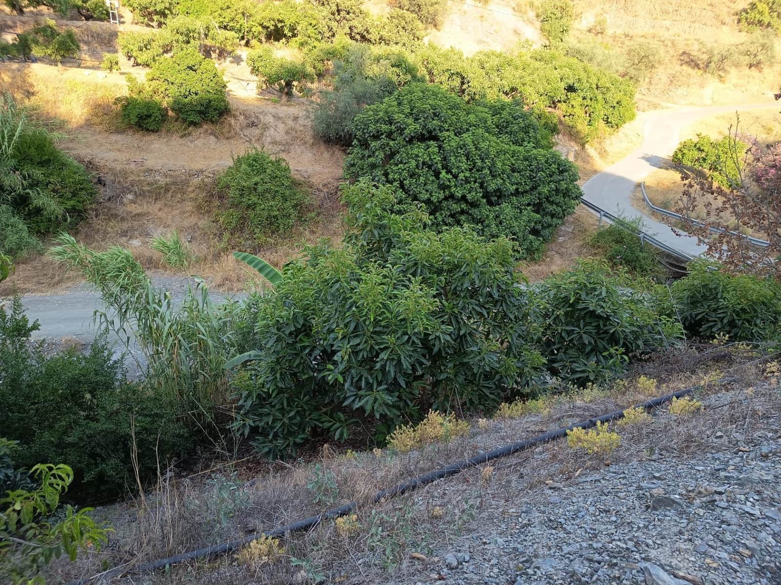 Grunde uden byggetilladelser til salg i Canillas de Aceituno - € 35.000 (Ref: 9970697)