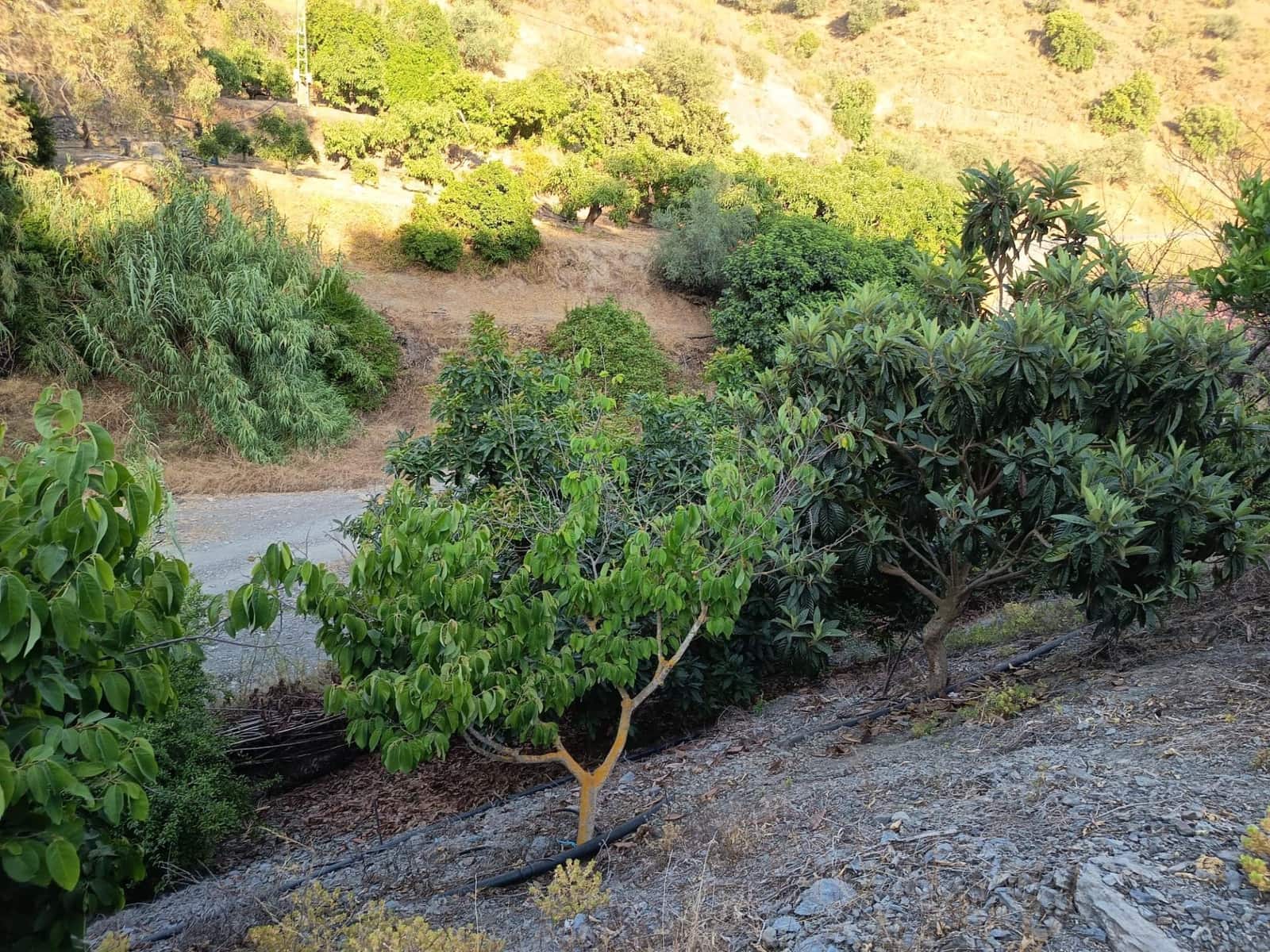 Grunde uden byggetilladelser til salg i Canillas de Aceituno - € 35.000 (Ref: 9970697)