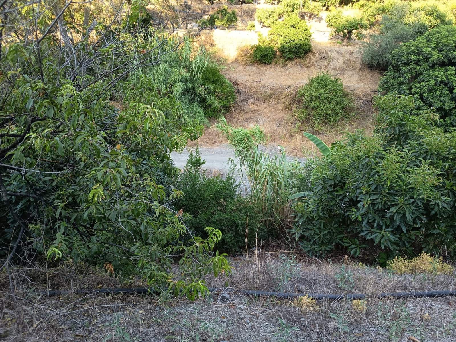 Grunde uden byggetilladelser til salg i Canillas de Aceituno - € 35.000 (Ref: 9970697)