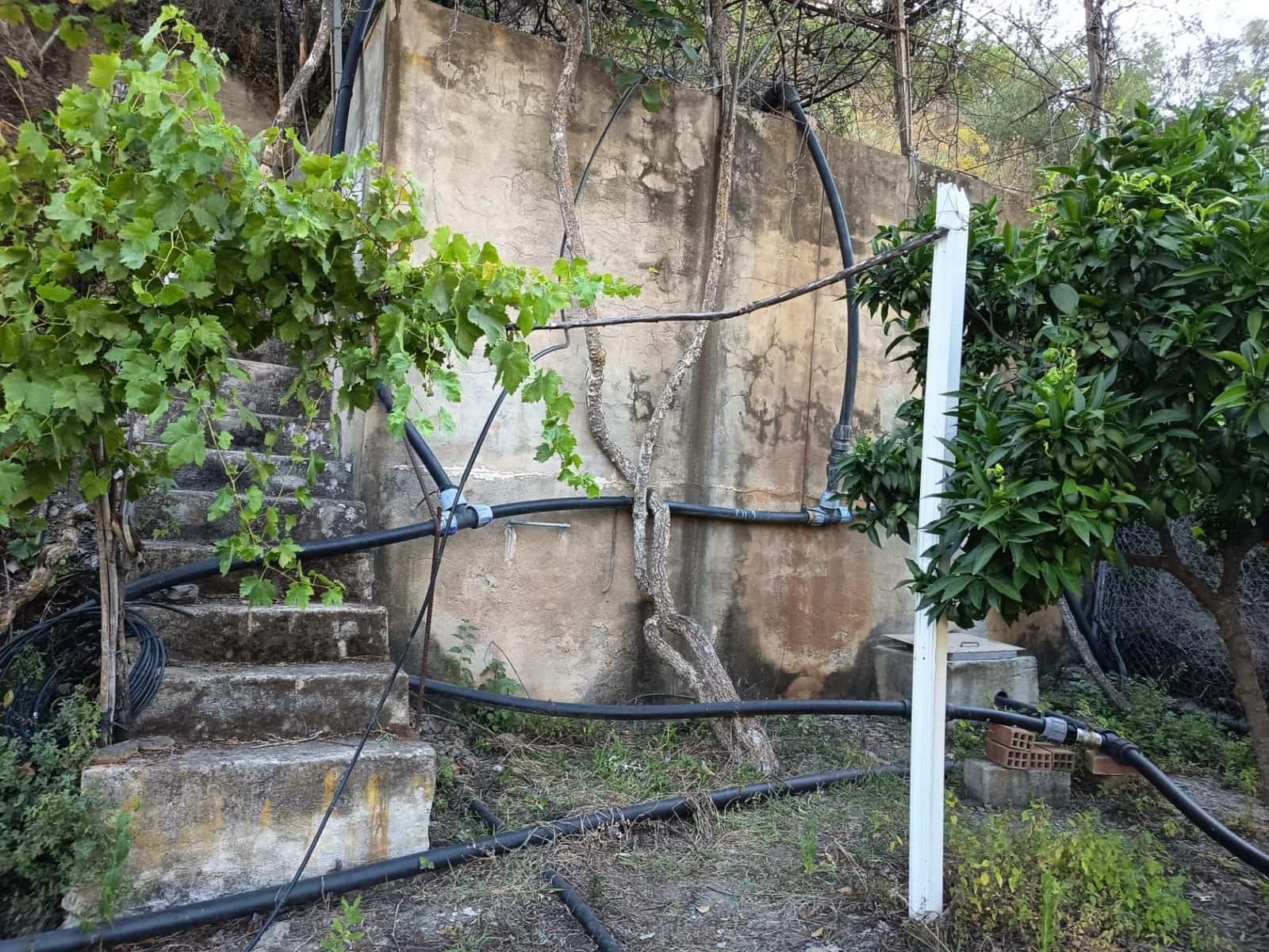 Grunde uden byggetilladelser til salg i Canillas de Aceituno - € 35.000 (Ref: 9970697)