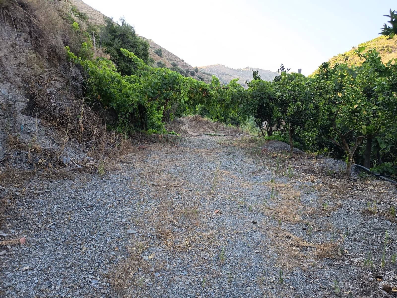Grunde uden byggetilladelser til salg i Canillas de Aceituno - € 35.000 (Ref: 9970697)