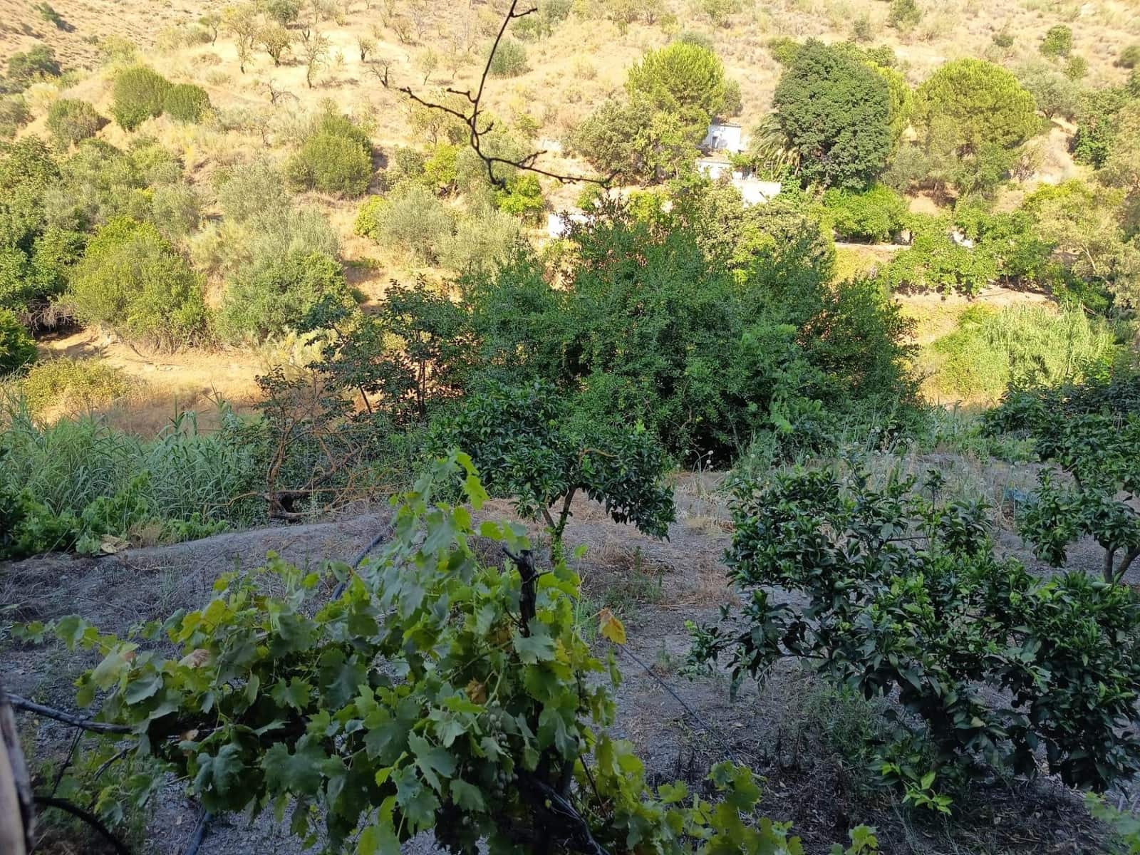 Grunde uden byggetilladelser til salg i Canillas de Aceituno - € 35.000 (Ref: 9970697)