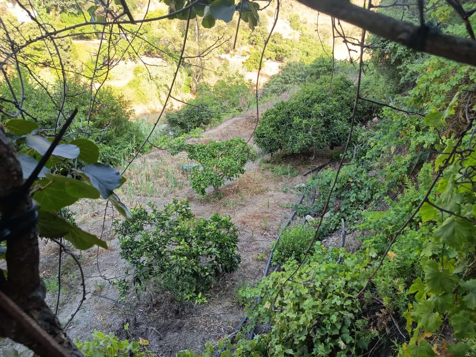 Grunde uden byggetilladelser til salg i Canillas de Aceituno - € 35.000 (Ref: 9970697)