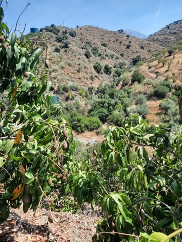 Grunde uden byggetilladelser til salg i Canillas de Aceituno - € 35.000 (Ref: 9970697)