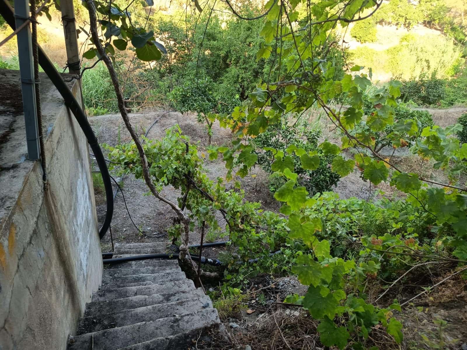 Rakentamaton maa myytävänä paikassa Canillas de Aceituno - 35 000 € (Ref: 9970697)
