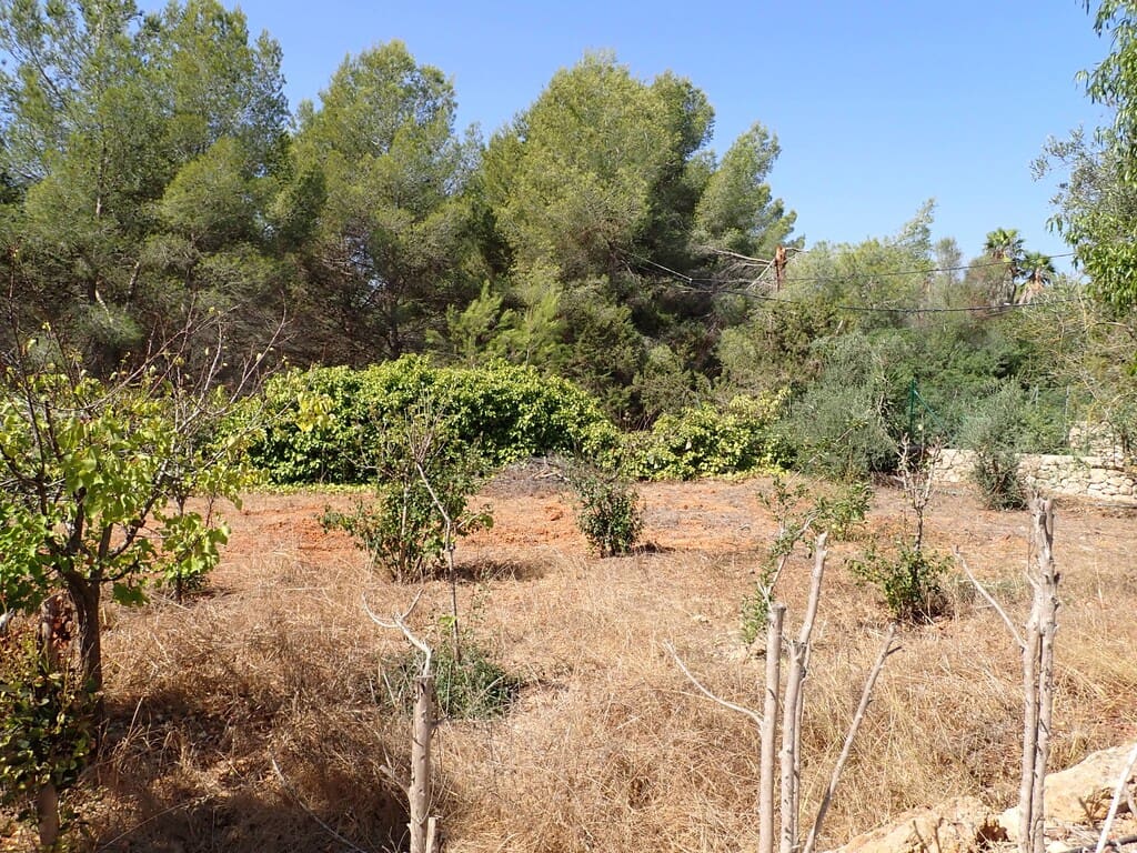 6 bedroom Finca/Country House for sale in Cala Llonga with pool garage - € 2,625,000 (Ref: 10026924)
