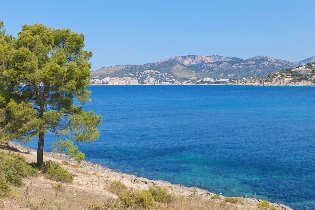 Bouwgrond te koop in Santa Ponsa - € 1.600.000 (Ref: 10075407)