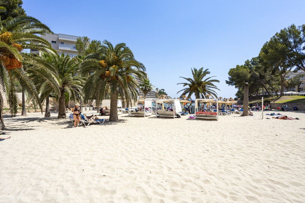 4 slaapkamer Villa te koop in Cala Vinyes / Cala Vinyas / Cala Vinas met zwembad garage - € 7.950.000 (Ref: 10080553)