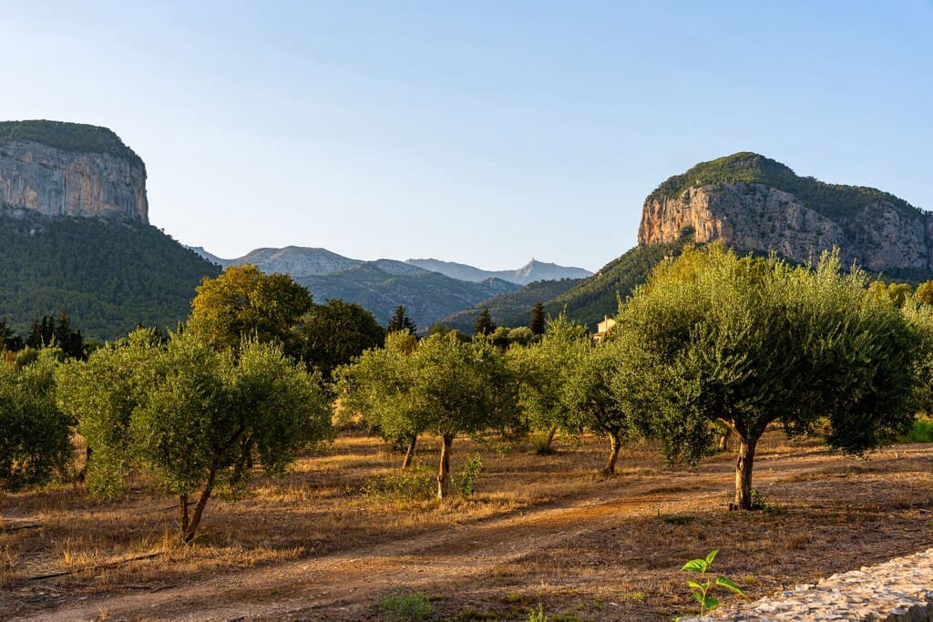 6 bedroom Finca/Country House for sale in Alaro with pool garage - € 7,950,000 (Ref: 10131321)