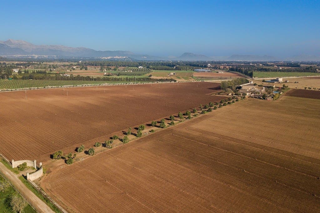 8 bedroom Finca/Country House for sale in Llubi - € 2,950,000 (Ref: 5220003)