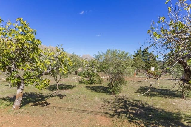 Bouwgrond te koop in Pollensa / Pollença - € 1.160.000 (Ref: 5220237)
