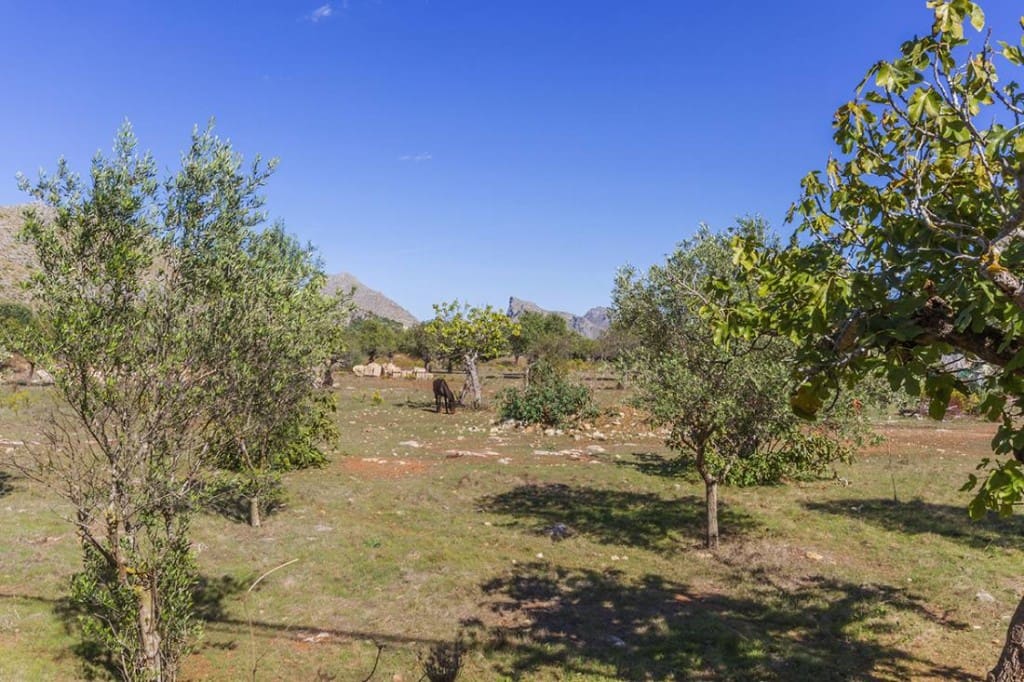 Area Edificabile in vendita in Pollensa / Pollenca - 1.160.000 € (Rif: 5220237)