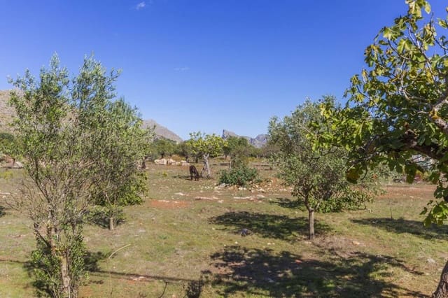 Bouwgrond te koop in Pollensa / Pollença - € 1.160.000 (Ref: 5220237)