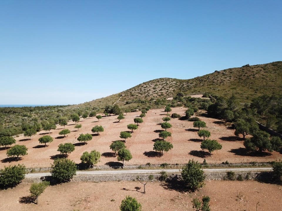 Byggegrund til salg i Manacor - € 650.000 (Ref: 5222423)