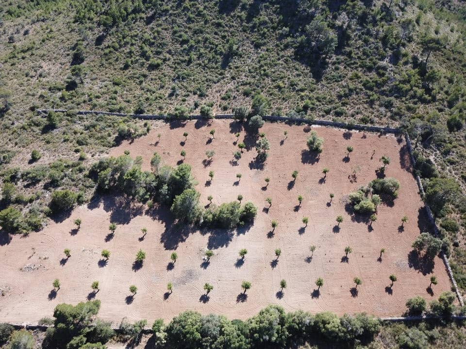 Byggegrund til salg i Manacor - € 650.000 (Ref: 5222423)